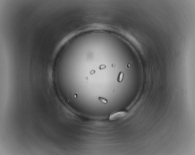 X0000113911318200910011441