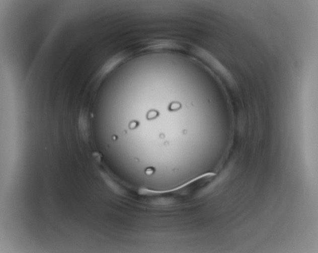 X0000113911321200910011441