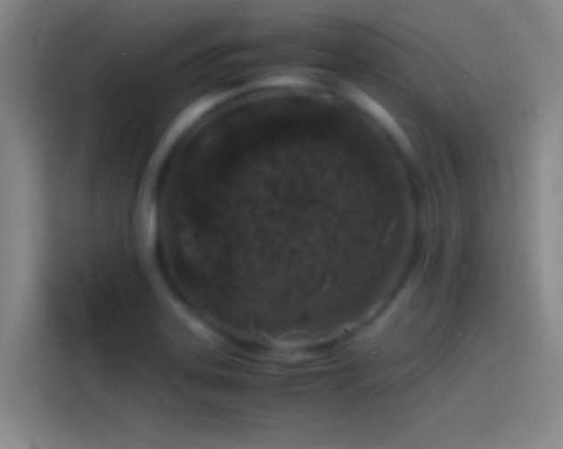 X0000113911323200910011441