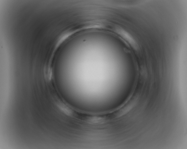 X0000113911324200910011441