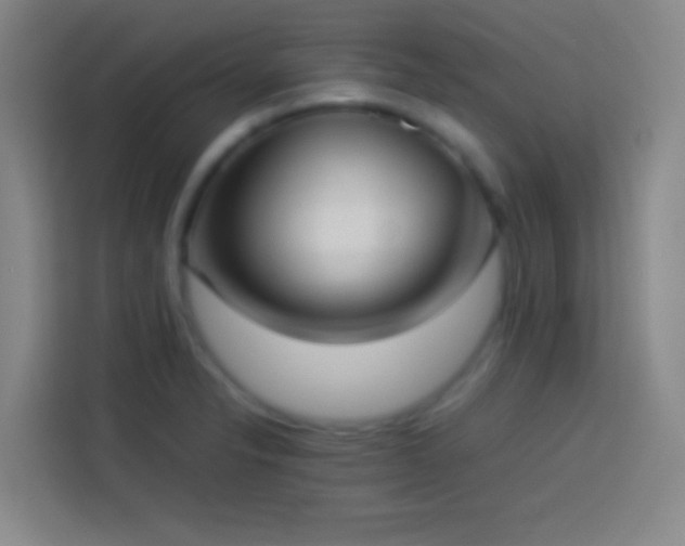 X0000113911326200910011441