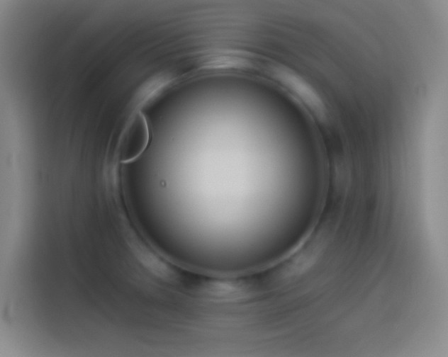 X0000113911330200910011441