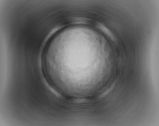 X0000113911331200910011441