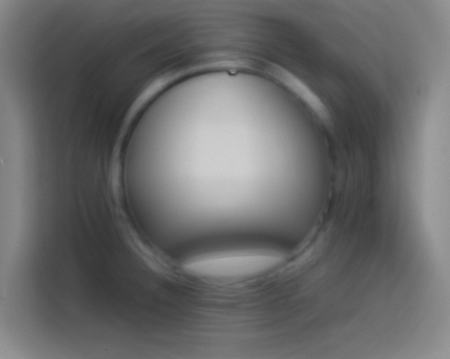 X0000113911332200910011441