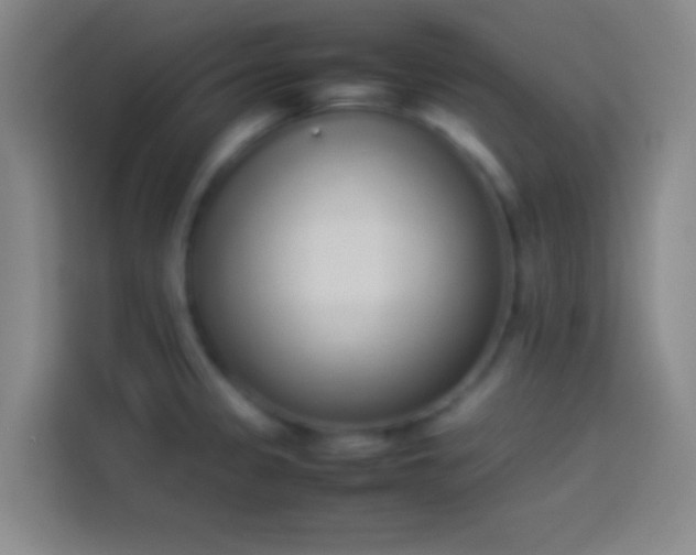 X0000113911333200910011441