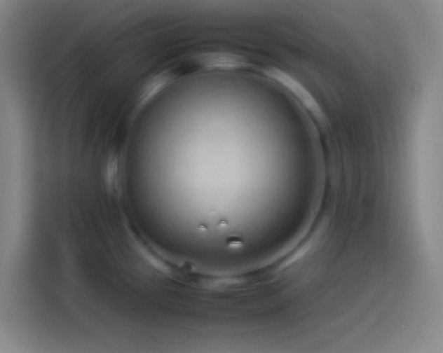 X0000113911337200910011441