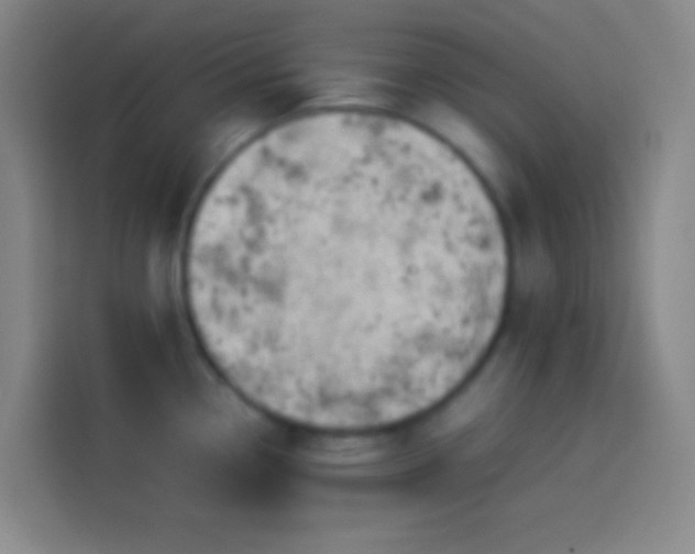 X0000113911338200910011441