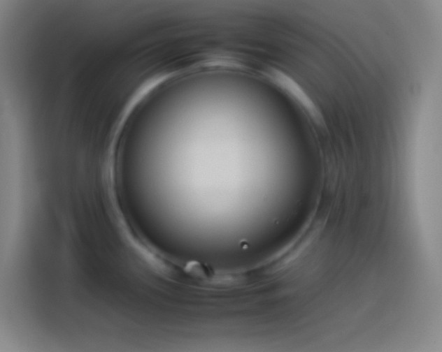 X0000113911339200910011441