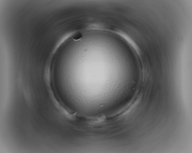 X0000113911341200910011441