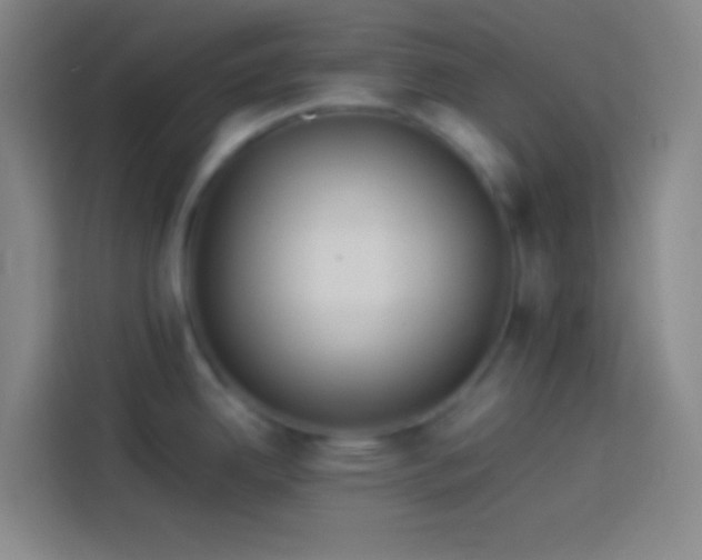 X0000113911342200910011441