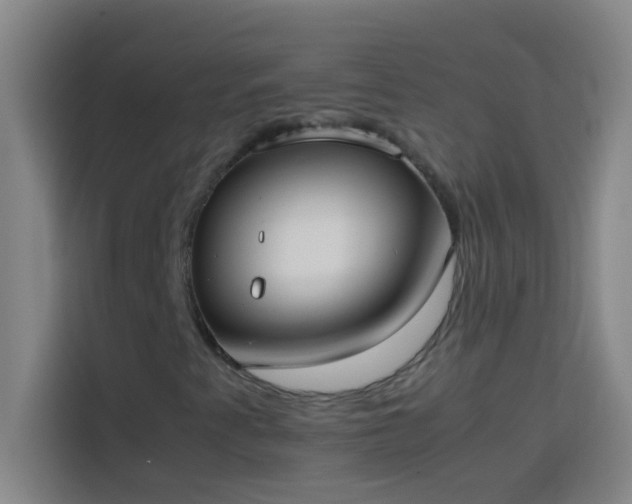 X0000113911345200910011440