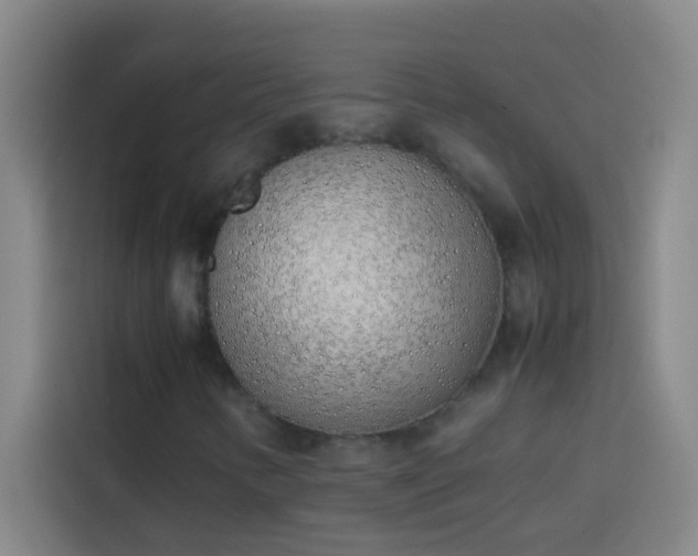 X0000113911346200910011440