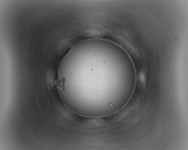 X0000113911348200910011440