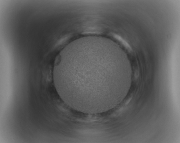 X0000113911350200910011440