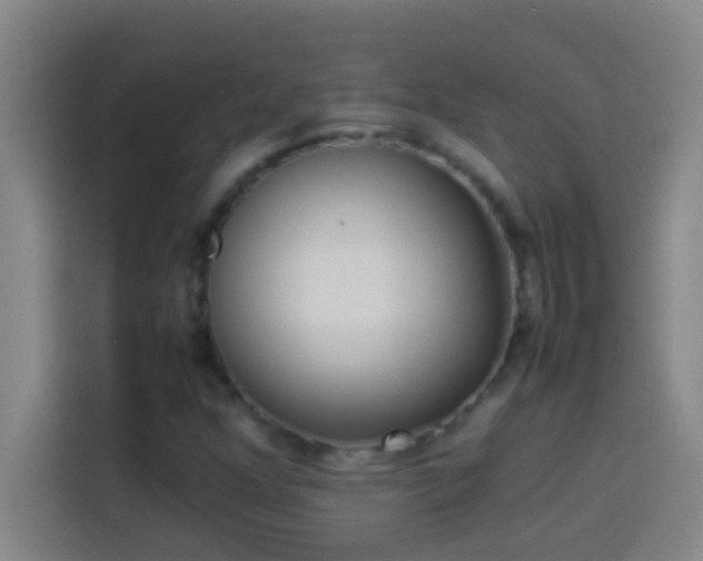 X0000113911352200910011440