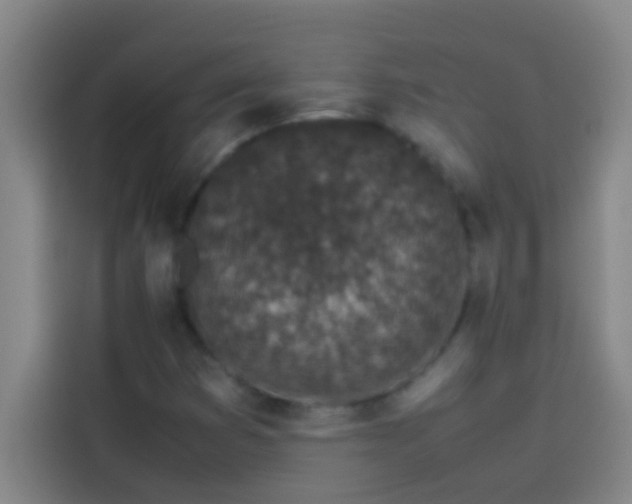 X0000113911353200910011440