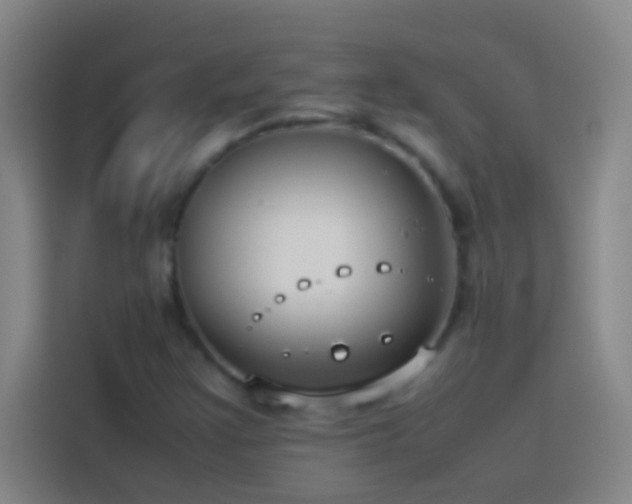 X0000113911355200910011440