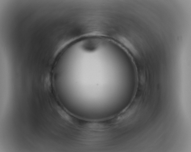 X0000113911356200910011440