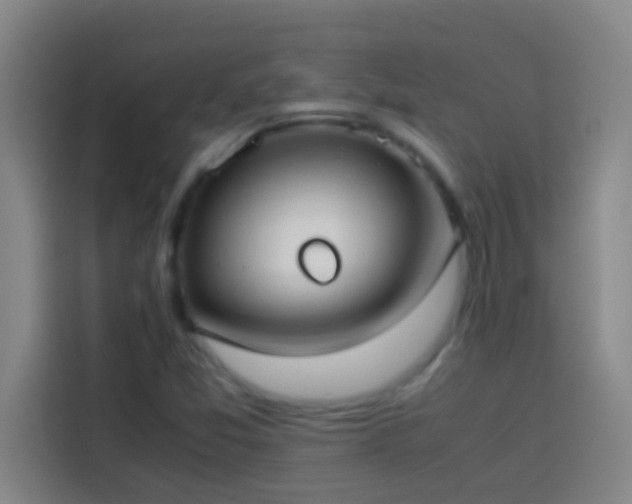 X0000113911357200910011440