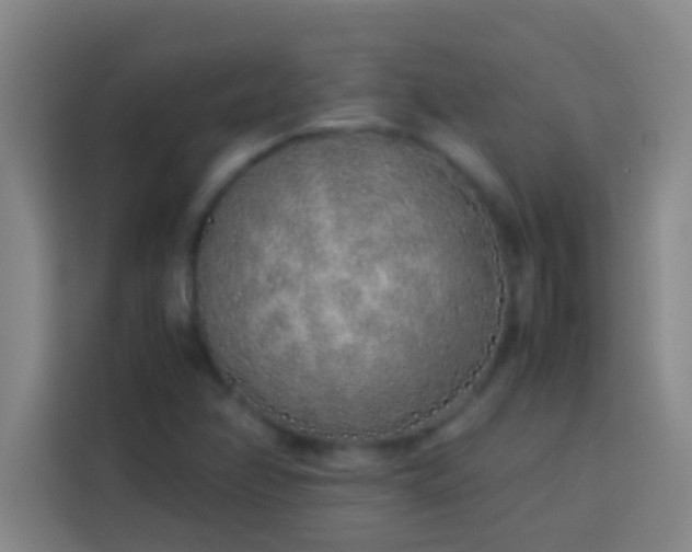 X0000113911358200910011440