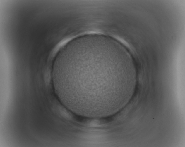 X0000113911359200910011440