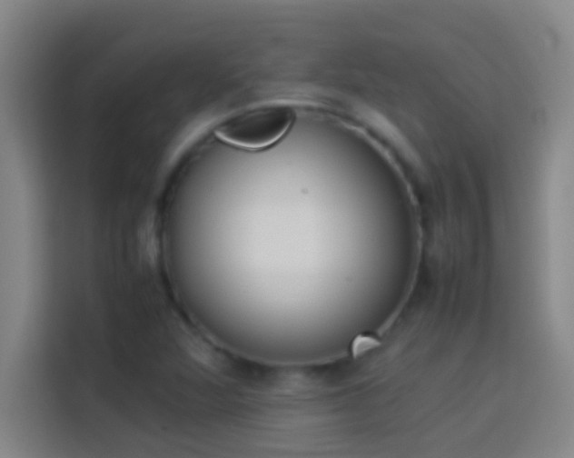 X0000113911360200910011440