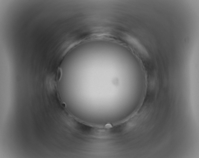 X0000113911361200910011440