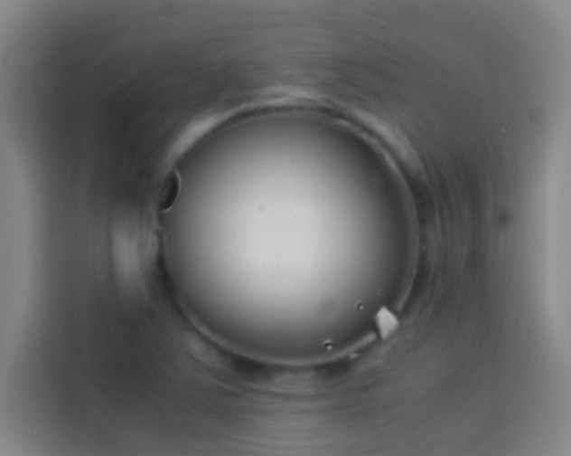 X0000113911363200910011440