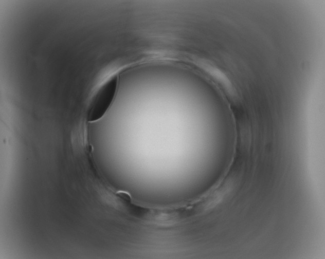 X0000113911365200910011440