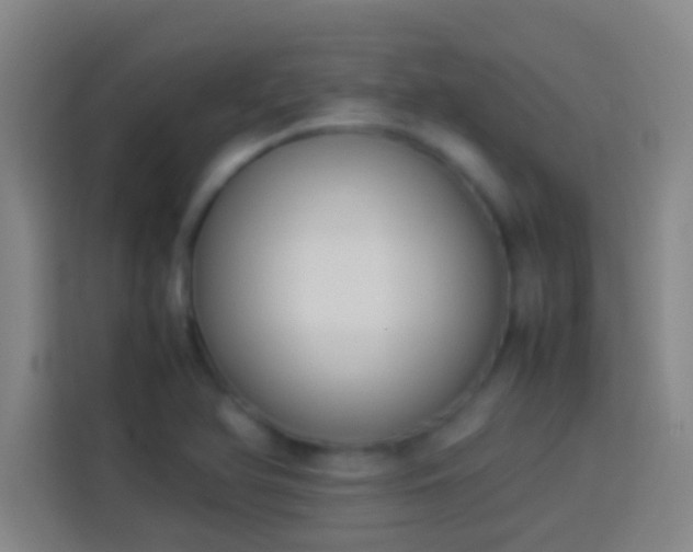 X0000113911366200910011440