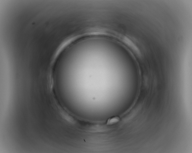 X0000113911368200910011440