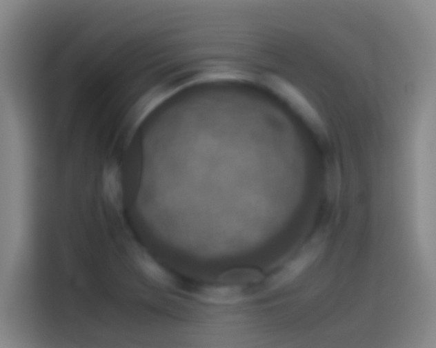 X0000113911369200910011440