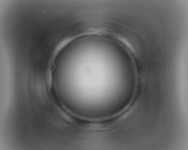 X0000113911371200910011440