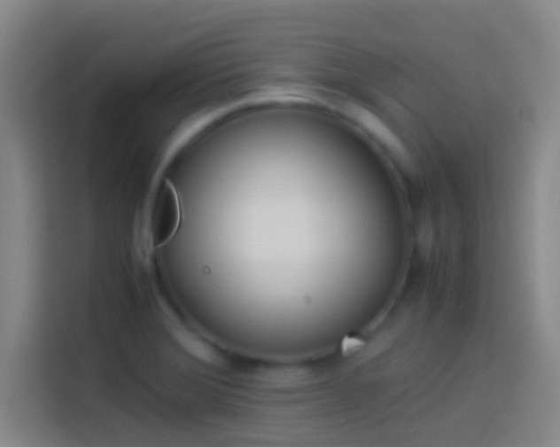 X0000113911372200910011440