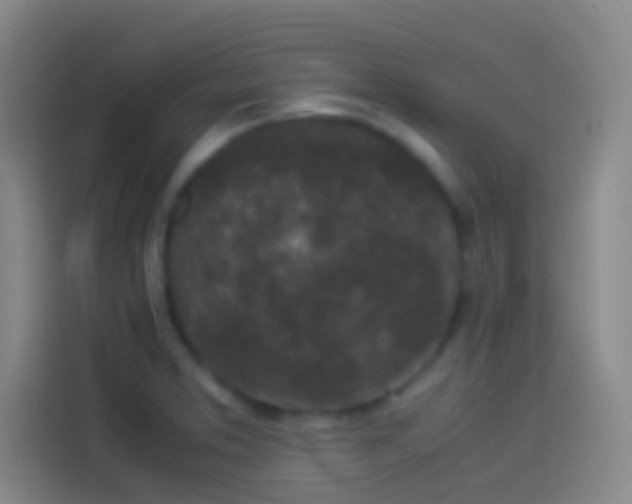 X0000113911373200910011440