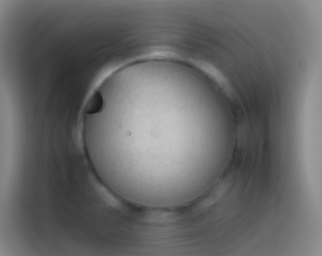 X0000113911374200910011440