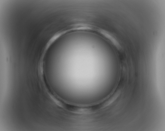 X0000113911375200910011440