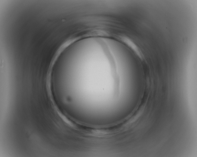 X0000113911379200910011440