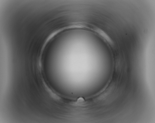 X0000113911380200910011440