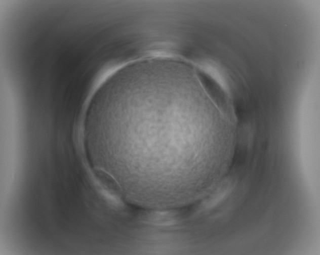 X0000113911381200910011440