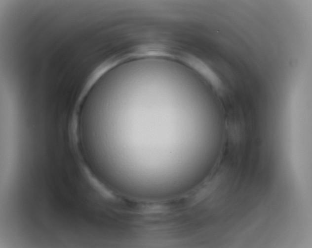 X0000113911382200910011440