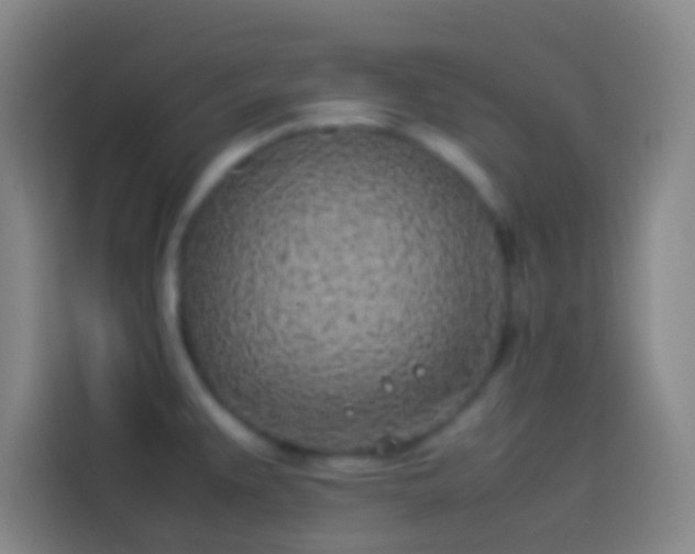 X0000113911383200910011440