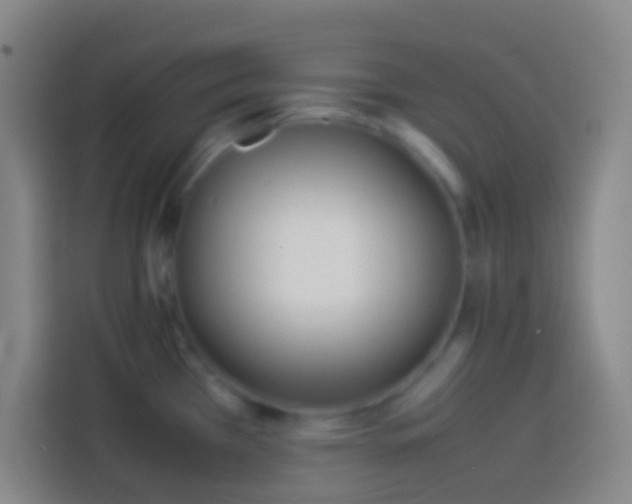 X0000113911385200910011440