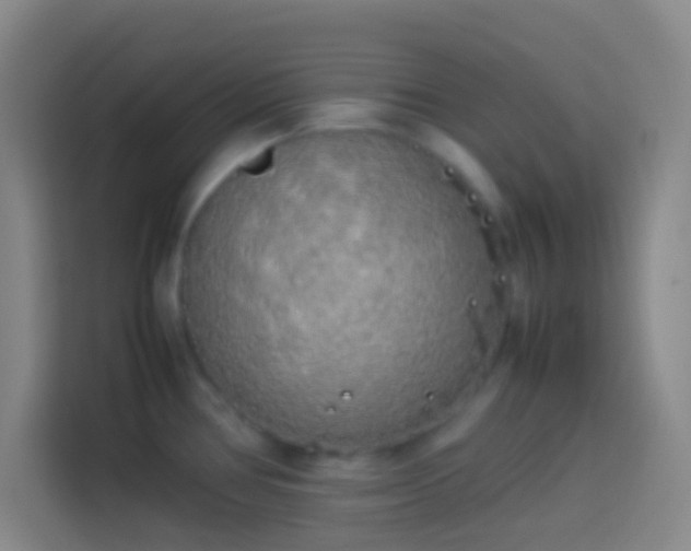 X0000113911386200910011440