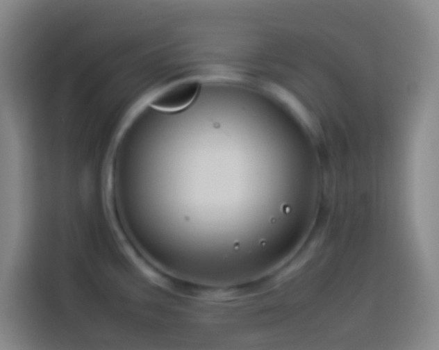 X0000113911387200910011440