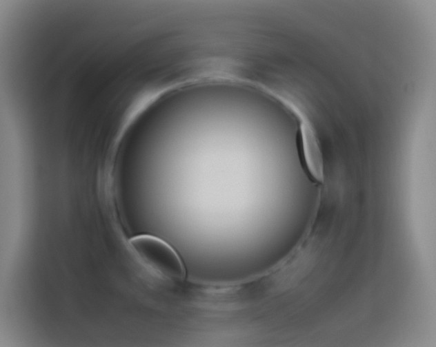 X0000113911389200910011440