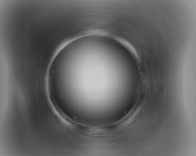 X0000113911391200910011440