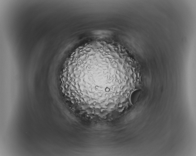 X0000113911393200910011439