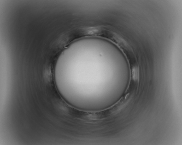 X0000113911395200910011439