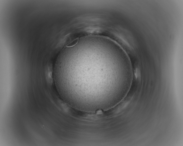 X0000113911396200910011439